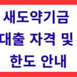 새도약기금 대출자격