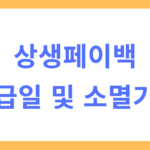 상생페이백 지급일 및 소멸기간