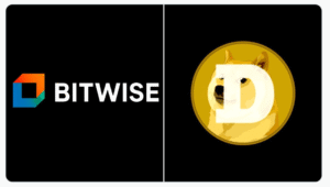 비트와이즈와 도지