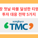 상장 첫날 변동성에 어떻게 대응할까를 주제로, TMC 티엠씨 로고와 함께 따블 달성 후 투자 대응 전략 5가지를 정리해 공모주 투자 판단 기준을 제시합니다.