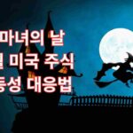네마녀의날 12월 변동성, 미국 주식 투자의 리스크 관리 대응법은 무엇일까요? 12/19 만기 전후로 나타날 폭발적 변동성을 대비하는 투자 전략 가이드.