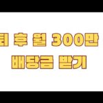은퇴 후 월 300만 원 배당금 받기 SCHD vs JEPQ 비중 시뮬레이션