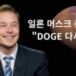 일론 머스크가 "DOGE 다시 안 해"라고 충격 발언한 이유와 도지코인 가격 전망은? 일론 머스크 발언에 따른 암호화폐 시장 영향 및 변동성 심화 분석 리포트.