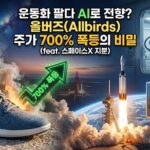 운동화 팔다 AI로 전향? 올버즈(Allbirds) 주가 700% 폭등의 비밀 (feat. 스페이스X 지분)